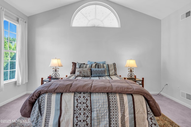 252 Enclave Blvd, Lakewood, NJ 08701 - carpeted bedroom with baseboards and lofted ceiling