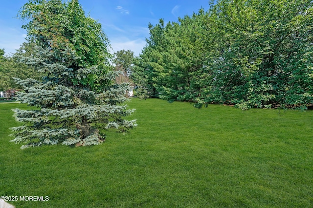 252 Enclave Blvd, Lakewood, NJ 08701 - view of grassy yard