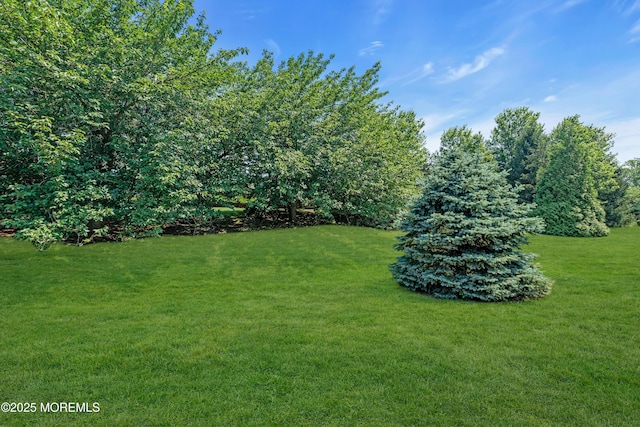 252 Enclave Blvd, Lakewood, NJ 08701 - view of green lawn