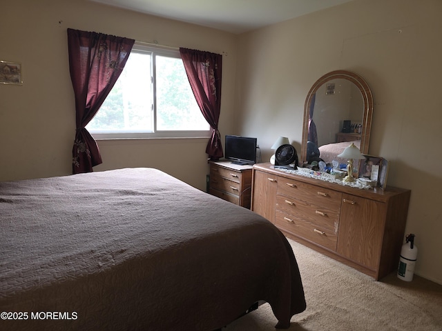 722 Maple St, Lakehurst, NJ 08733 - photo 19