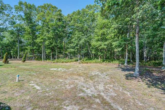 215 Parkertown Dr, Little Egg Harbor, NJ 08087 - view of yard with a forest view