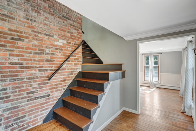 215 Parkertown Dr, Little Egg Harbor, NJ 08087 - stairway with hardwood / wood-style flooring, baseboard heating, a wainscoted wall, and ornamental molding