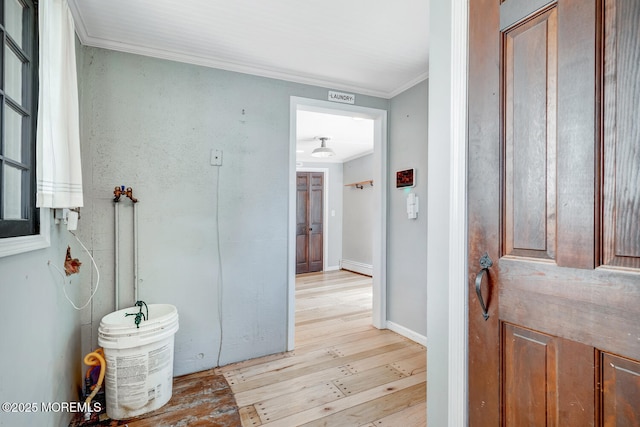 215 Parkertown Dr, Little Egg Harbor, NJ 08087 - corridor with light wood-style flooring and crown molding