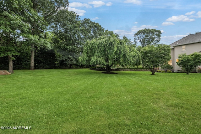 8 Shadowbrook Dr, Colts Neck, NJ 07722 - view of green lawn