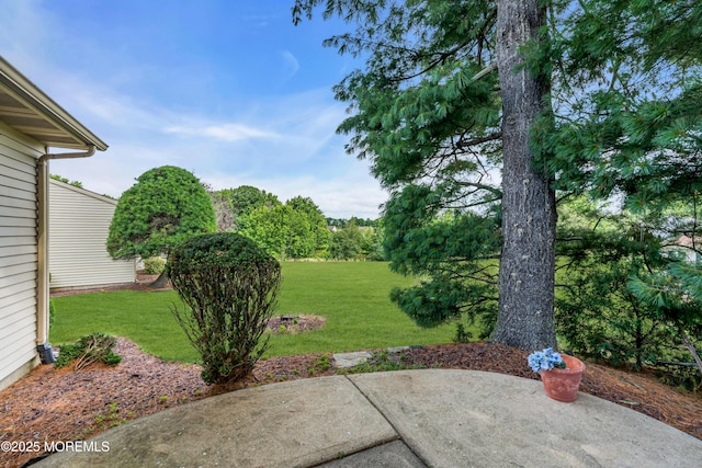 47 Lakeview Dr, Marlboro, NJ 07746 - photo 23