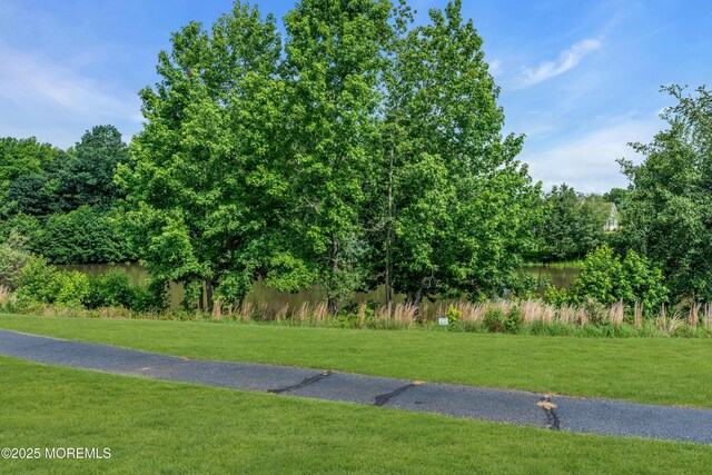 47 Lakeview Dr, Marlboro, NJ 07746 - photo 26