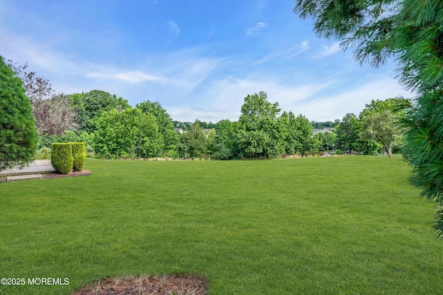 47 Lakeview Dr, Marlboro, NJ 07746 - photo 27