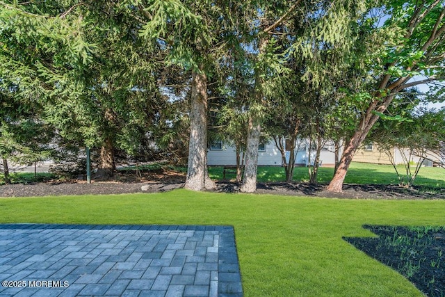 6 Fairfield Rd, Toms River, NJ 08757 - view of green lawn with a patio area