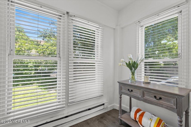 1015 Mattison Ave, Asbury Park, NJ 07712 - detailed view of a baseboard radiator and wood finished floors