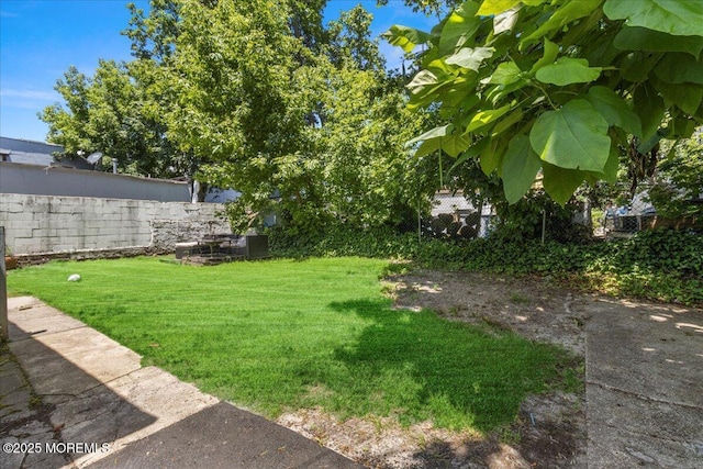 1015 Mattison Ave, Asbury Park, NJ 07712 - view of yard