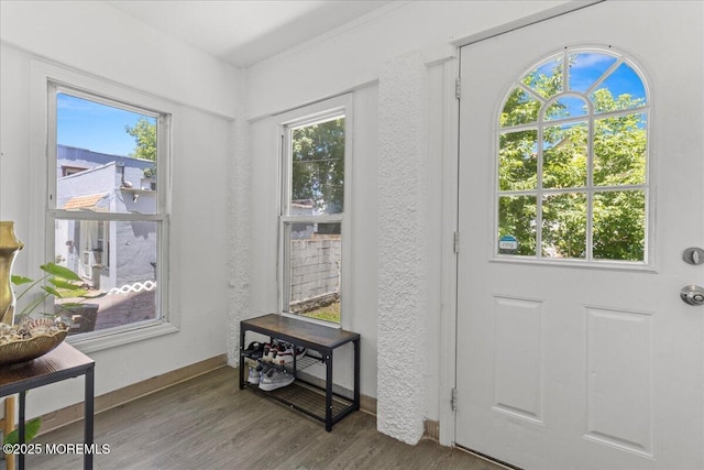 1015 Mattison Ave, Asbury Park, NJ 07712 - entryway featuring wood finished floors and plenty of natural light