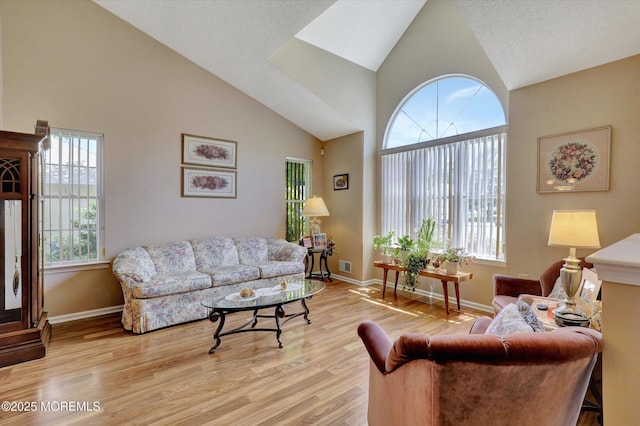 6 Thatcher Ct, Jackson, NJ 08527 - living area with healthy amount of natural light, high vaulted ceiling, and light wood finished floors