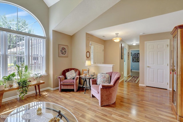 6 Thatcher Ct, Jackson, NJ 08527 - living area with plenty of natural light, light wood finished floors, and lofted ceiling