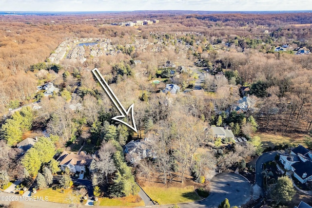 7 Jayhawk Way, Holmdel, NJ 07733 - aerial view of a forest