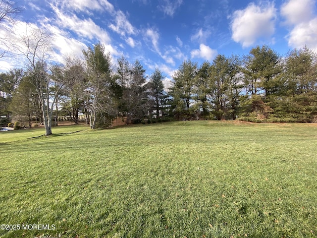 7 Erte Pl, Marlboro, NJ 07746 - view of green lawn with view of wooded area