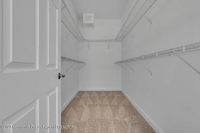 25 Merion Ln, Jackson, NJ 08527 - walk in closet with light colored carpet