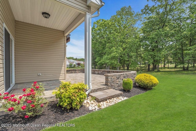 25 Merion Ln, Jackson, NJ 08527 - view of green lawn with a patio