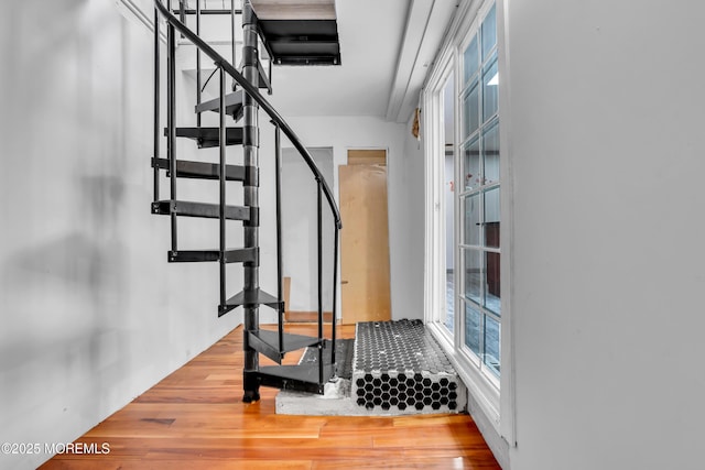 215 Sunset Ln, Howell, NJ 07731 - staircase with wood finished floors