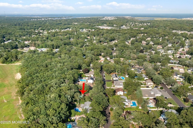 446 Steuben Ave, Forked River, NJ 08731 - aerial view of property's location featuring a heavily wooded area