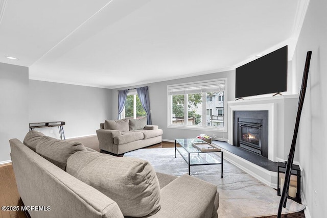203 Muskflower Ct, Toms River, NJ 08753 - living room featuring crown molding, a glass covered fireplace, and wood finished floors