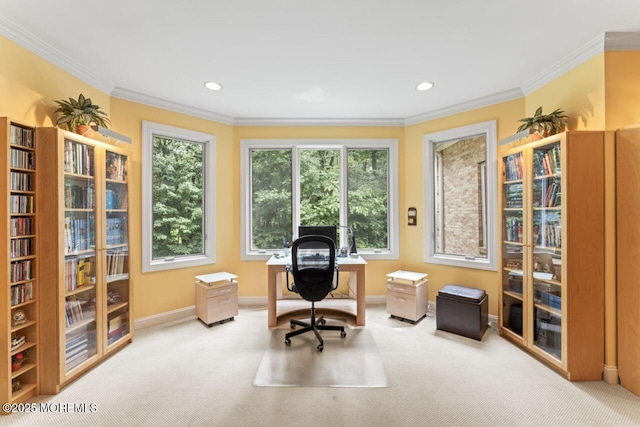 7 Red Oak Run, Holmdel, NJ 07733 - photo 31