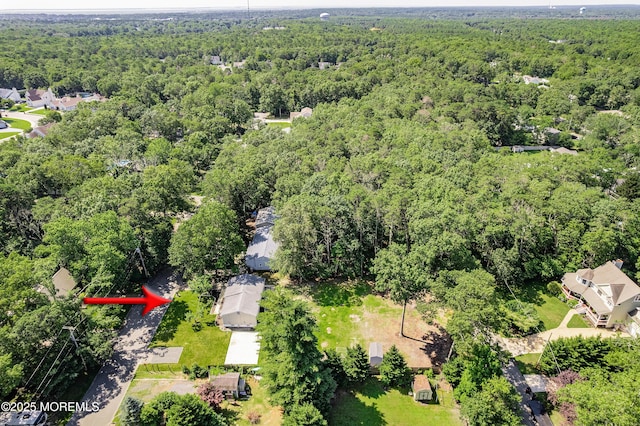 482 Radovan Ave, Bayville, NJ 08721 - aerial view of a forest