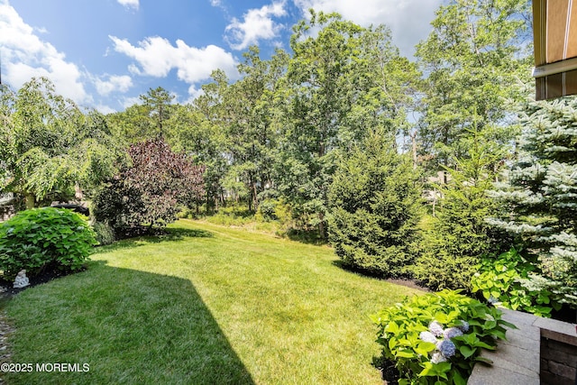 16 Gladstone St, Forked River, NJ 08731 - view of grassy yard