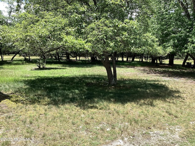 109 Edinburgh Ct, Toms River, NJ 08757 - view of yard