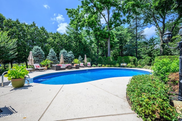 9 Partridge Ave, Freehold, NJ 07728 - outdoor pool with outdoor lounge area and a patio area