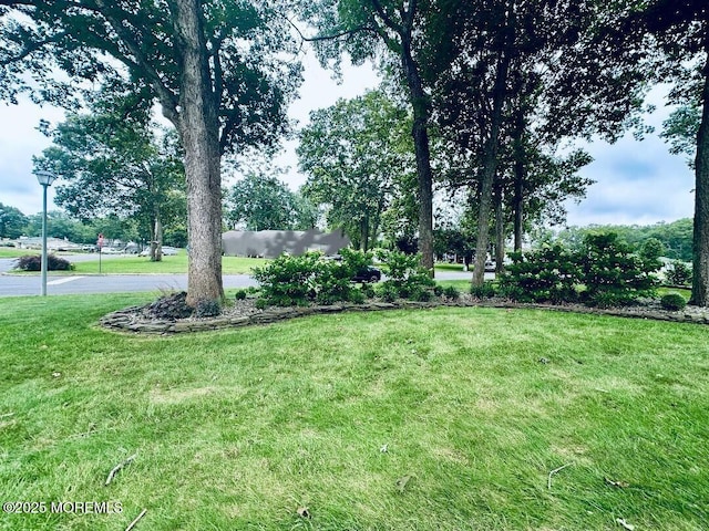 412 Steuben Ave, Forked River, NJ 08731 - view of green lawn