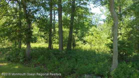 0 E Black Horse, Mays Landing, NJ 08330 - photo 4