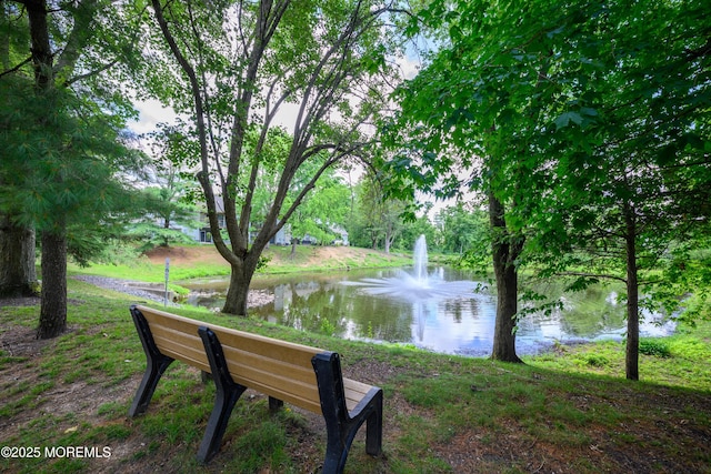 45 Liverpool Ct Unit 10, Freehold, NJ 07728 - view of home's community with a water view