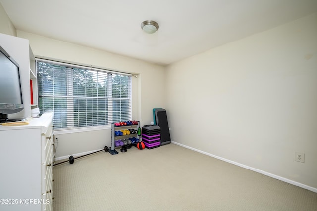 45 Liverpool Ct Unit 10, Freehold, NJ 07728 - rec room with carpet flooring and baseboards