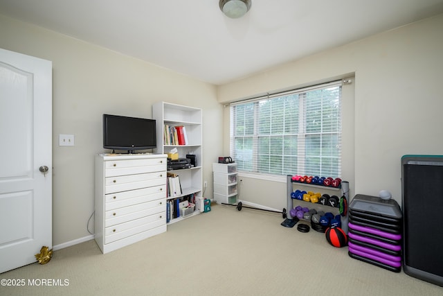 45 Liverpool Ct Unit 10, Freehold, NJ 07728 - playroom with carpet flooring and baseboards