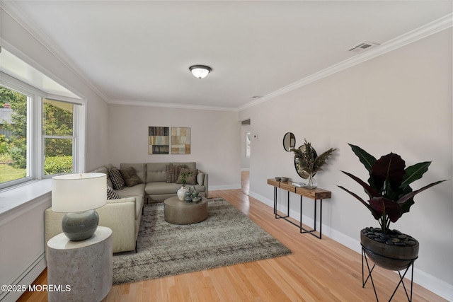 6 Frances Ct, Red Bank, NJ 07701 - living room featuring ornamental molding, wood finished floors, and baseboard heating