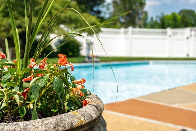 6 Frances Ct, Red Bank, NJ 07701 - view of outdoor pool