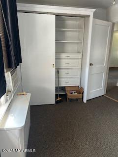 26 Pinckney Rd Unit C, Red Bank, NJ 07701 - view of closet
