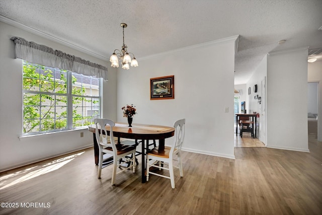 56 Quail Rd, Barnegat, NJ 08005 - photo 6