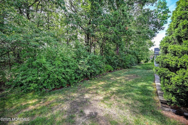 56 Quail Rd, Barnegat, NJ 08005 - photo 26