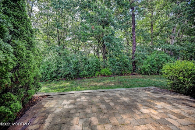 56 Quail Rd, Barnegat, NJ 08005 - photo 30