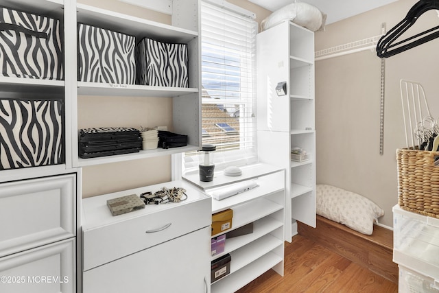 49 Farragut Dr, Brick, NJ 08723 - spacious closet featuring light wood-style flooring