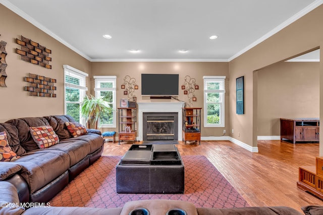 3 Algonquin Ct, Freehold, NJ 07728 - living room featuring wood finished floors, a fireplace with flush hearth, ornamental molding, and recessed lighting