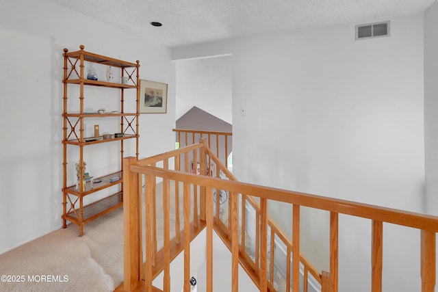 186 Snow Drop Pl, Freehold, NJ 07728 - hallway featuring carpet floors, an upstairs landing, and a textured ceiling