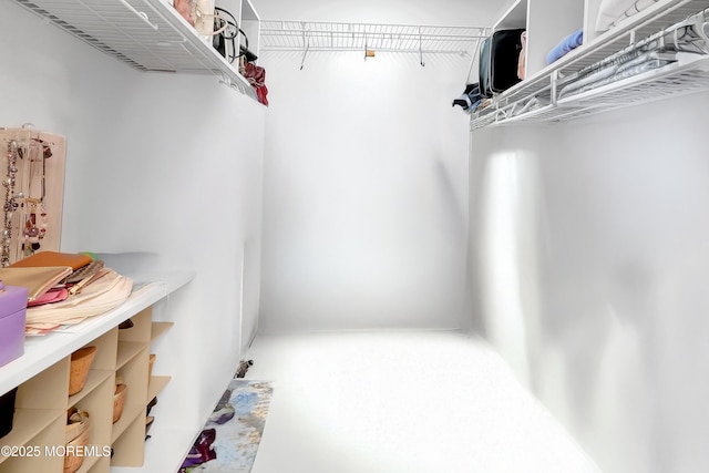 186 Snow Drop Pl, Freehold, NJ 07728 - view of spacious closet