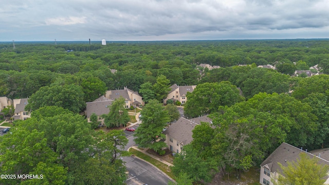 410 Owls Nest Ct, Jackson, NJ 08527 - aerial perspective of suburban area with a forest