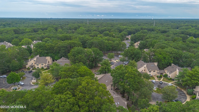 410 Owls Nest Ct, Jackson, NJ 08527 - aerial perspective of suburban area with a heavily wooded area