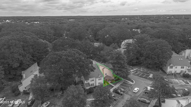 410 Owls Nest Ct, Jackson, NJ 08527 - view of property location with a heavily wooded area and property parcel outlined