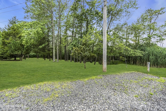 211 Meadow Blvd, Brick, NJ 08723 - view of grassy yard