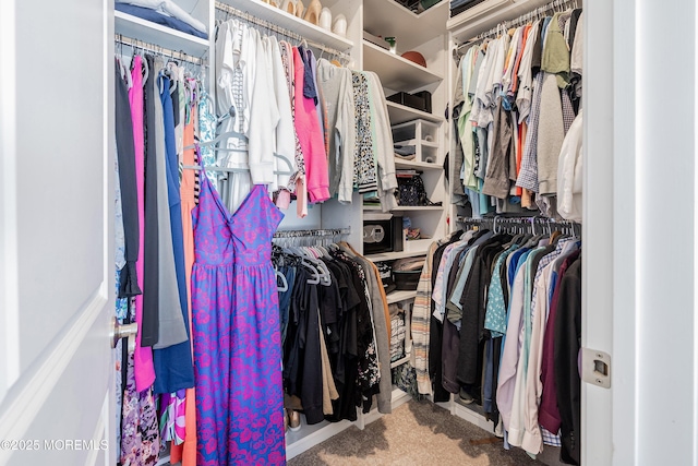 107 Celebration Blvd, Brick, NJ 08723 - walk in closet featuring carpet