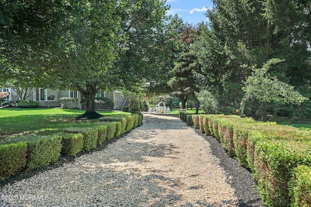 9 Old Cider Mill Rd, Manalapan, NJ 07726 - view of community with a yard